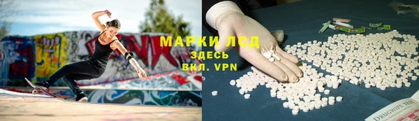 шишки Верея