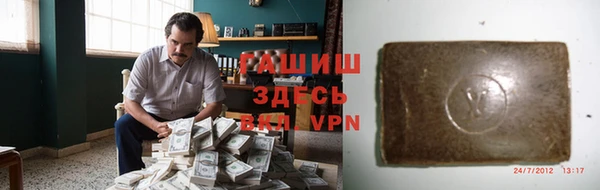 шишки Верея