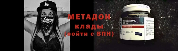шишки Верея