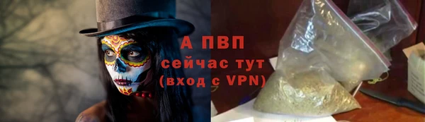 шишки Верея