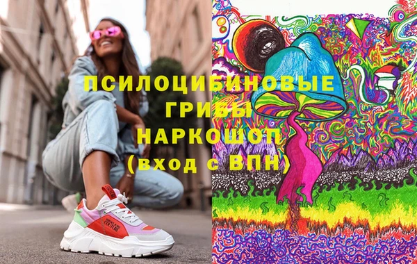 шишки Верея