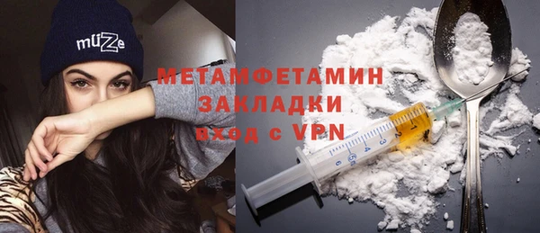 шишки Верея