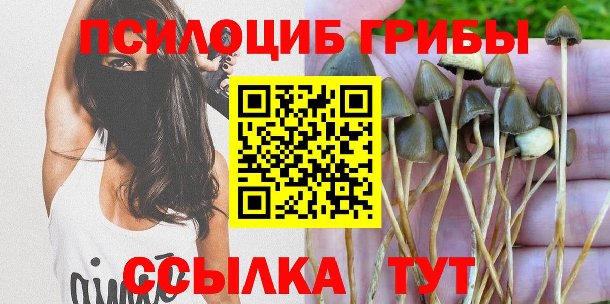 ГАШ  Выкса  Как найти наркотики?  Вход с VPN  Марихуана  МЕФ  Гашик 